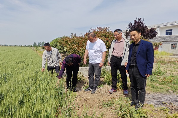 廣陵街道長亭村：服務送上門 發展添動能